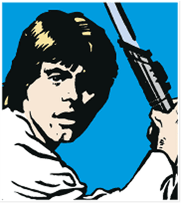Sky Walker Star Wars